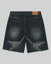 ARCN Retro Shorts