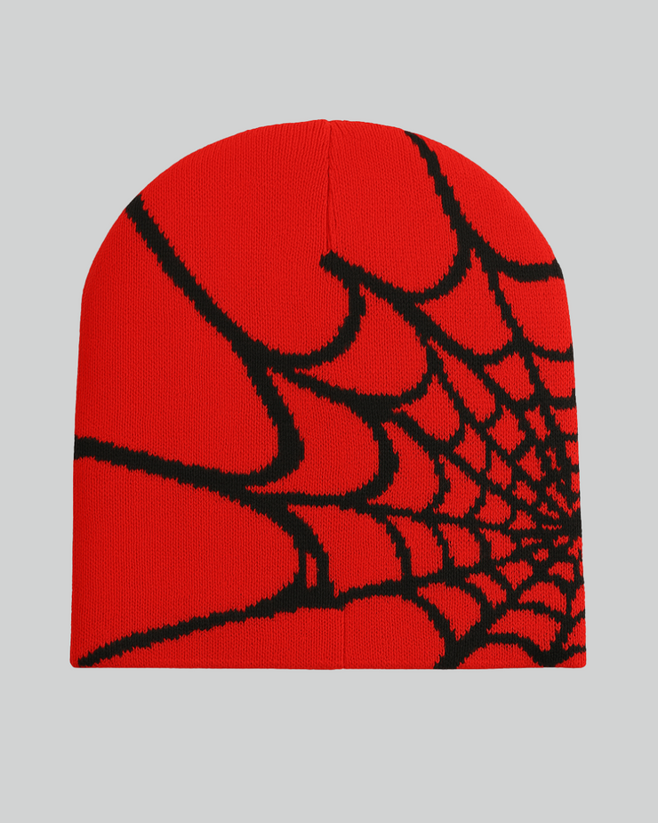 SPIDER WEB Beanie Hat